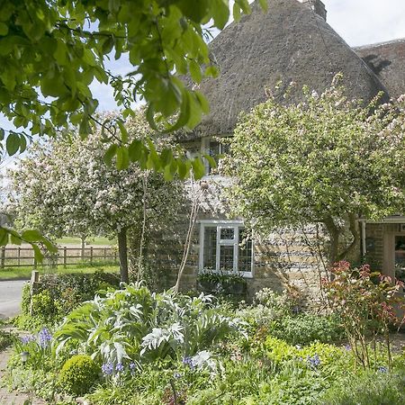 Tudor Cottage B&B Frampton Dorchester Buitenkant foto