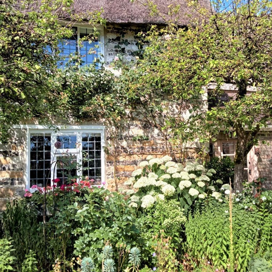 Tudor Cottage B&B Frampton Dorchester Buitenkant foto