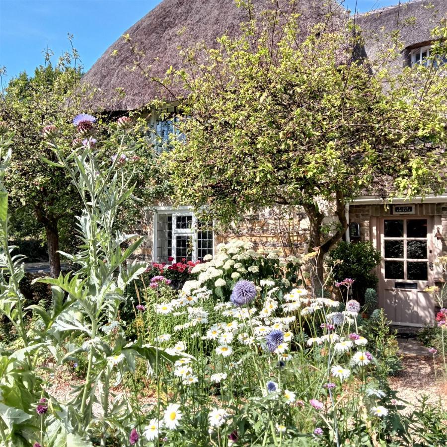Tudor Cottage B&B Frampton Dorchester Buitenkant foto