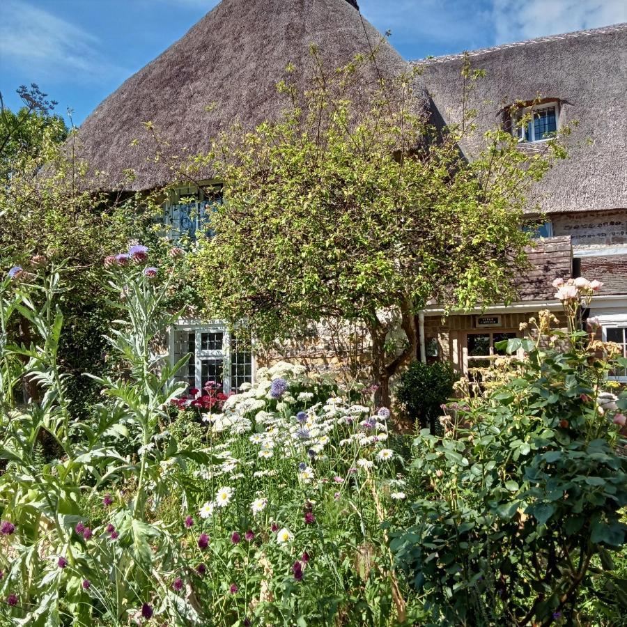 Tudor Cottage B&B Frampton Dorchester Buitenkant foto