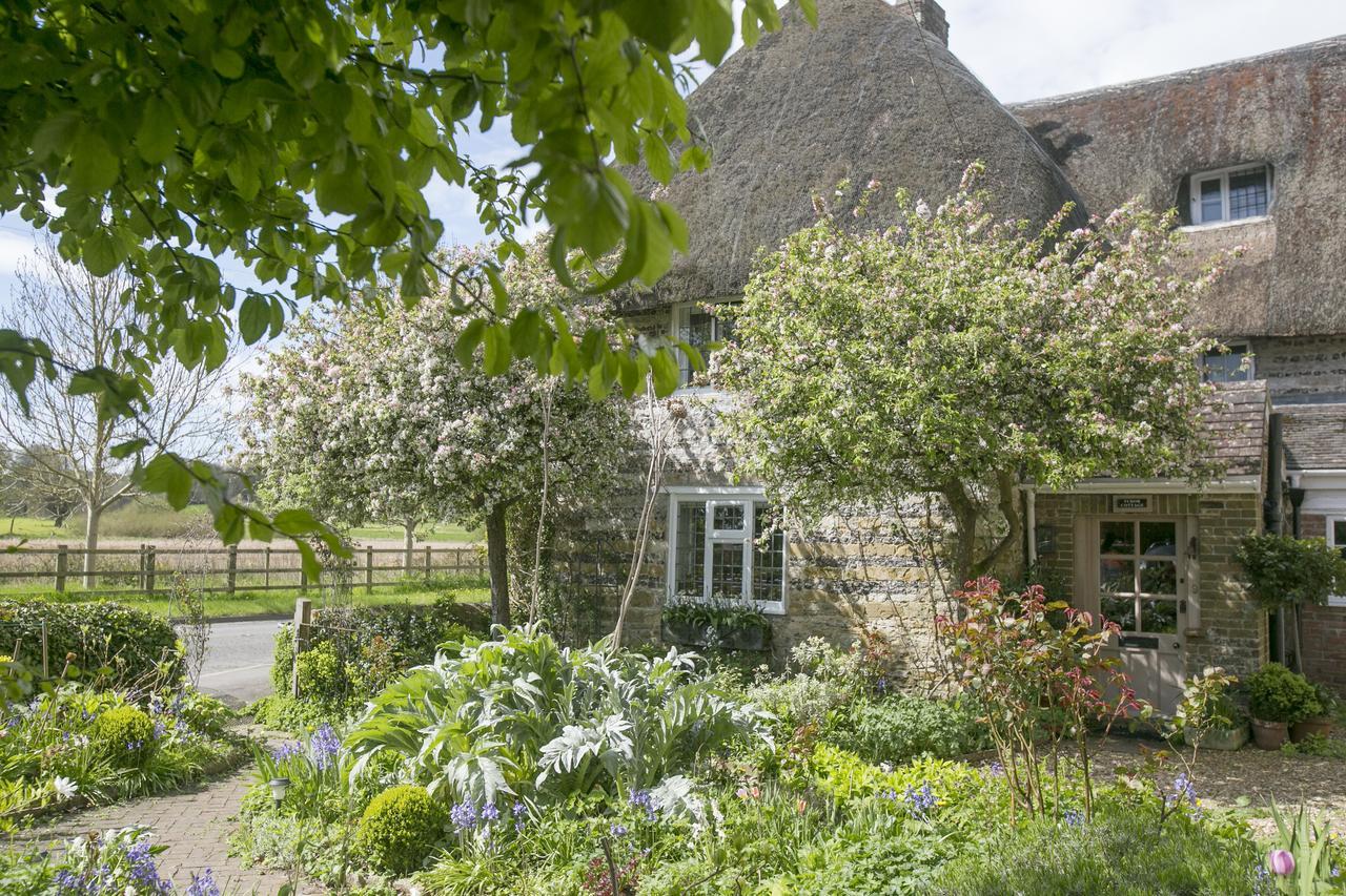 Tudor Cottage B&B Frampton Dorchester Buitenkant foto